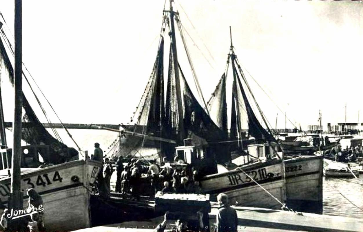 Beni saf 612.jpg